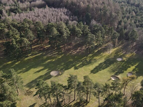 hole surrey Glory