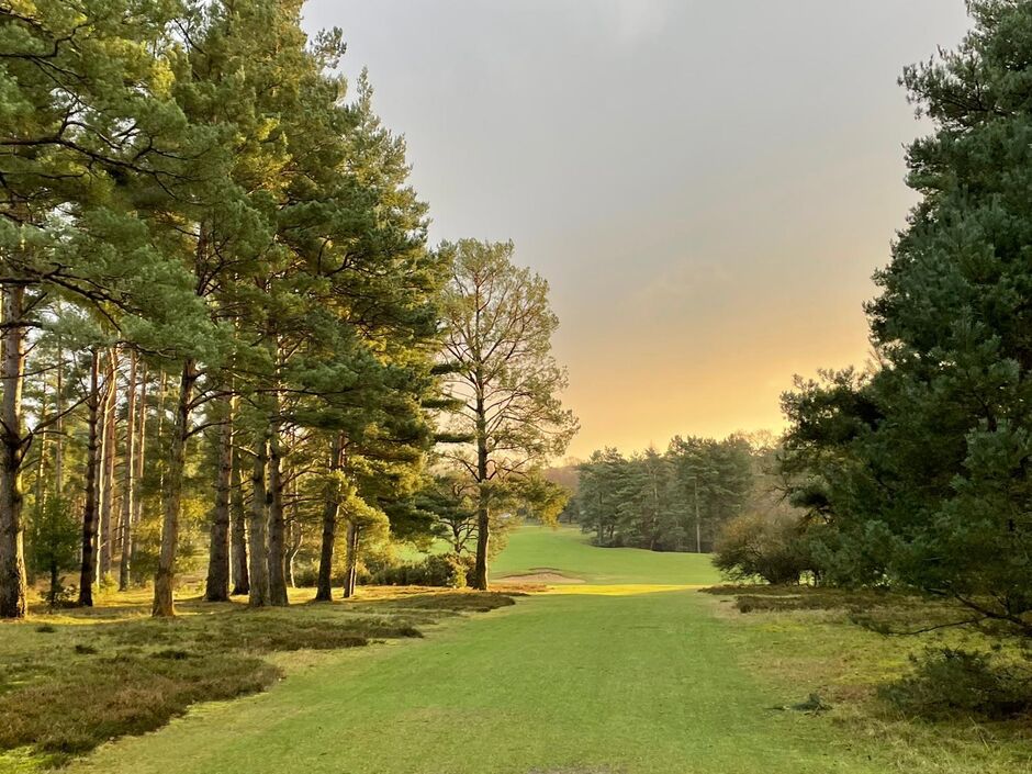 Vacancies Thetford Golf Club is a classic James Braid designed